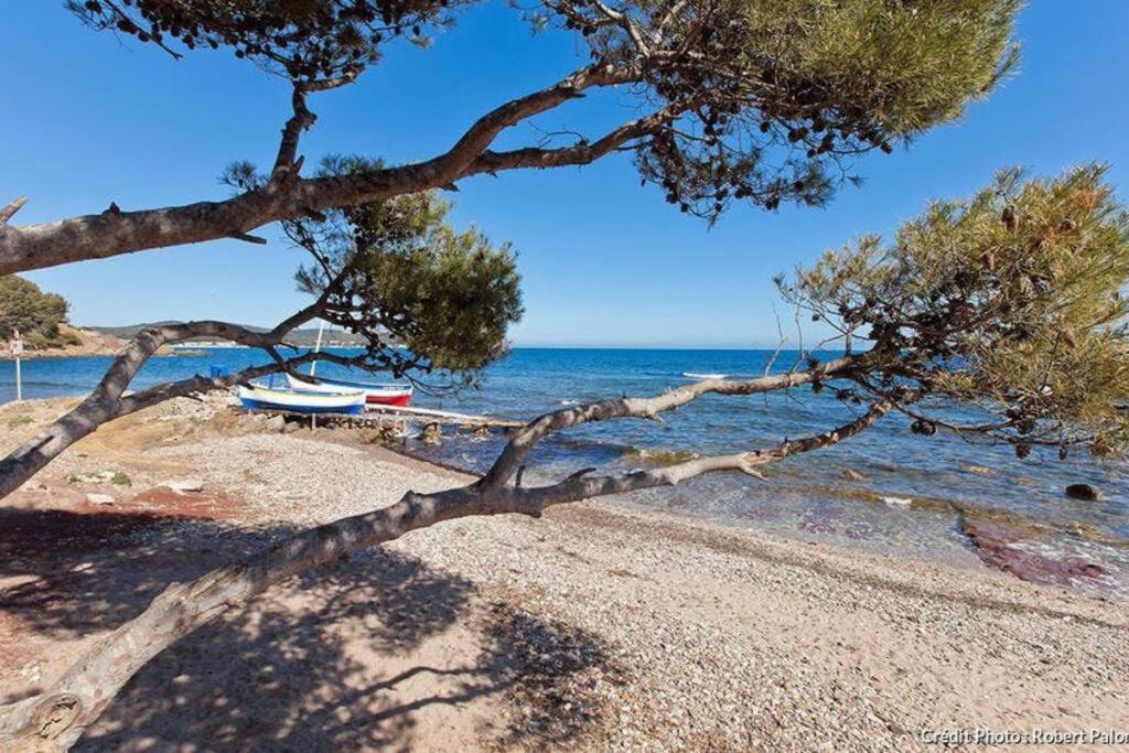 Superbe Appartement - Terrasses - Clim - Parking Prepaye La Valette-du-Var Luaran gambar