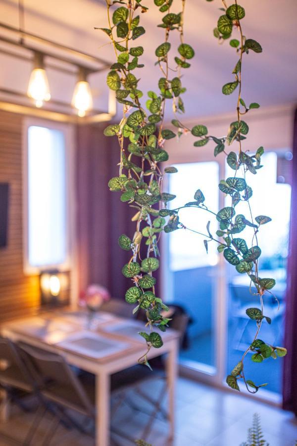 Superbe Appartement - Terrasses - Clim - Parking Prepaye La Valette-du-Var Luaran gambar